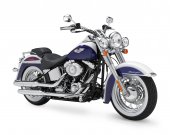 2010 Harley-Davidson FLSTN Softail Deluxe photo